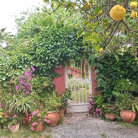 Casa con jardín frente Playa de Burriana Quarto foto