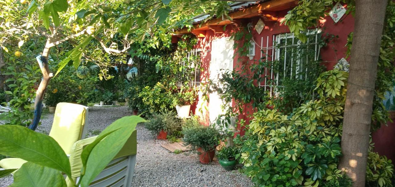 Casa con jardín frente Playa de Burriana Exterior foto