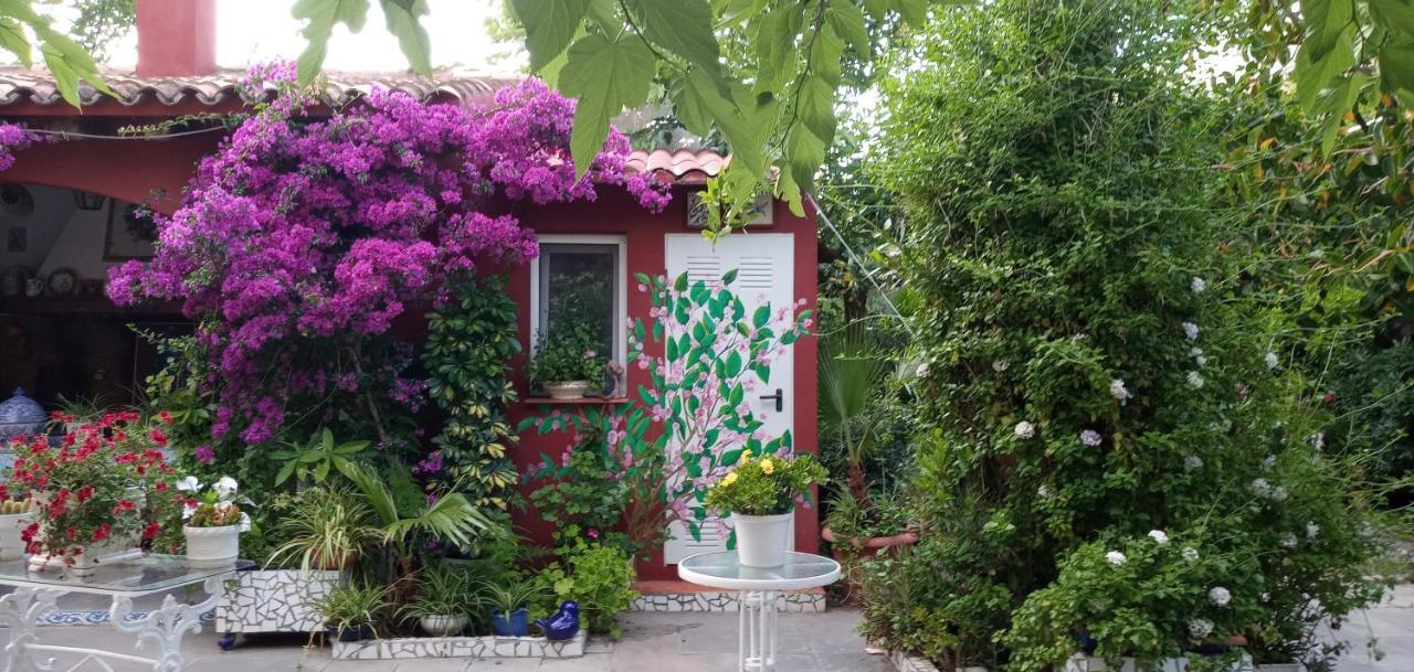 Casa con jardín frente Playa de Burriana Exterior foto
