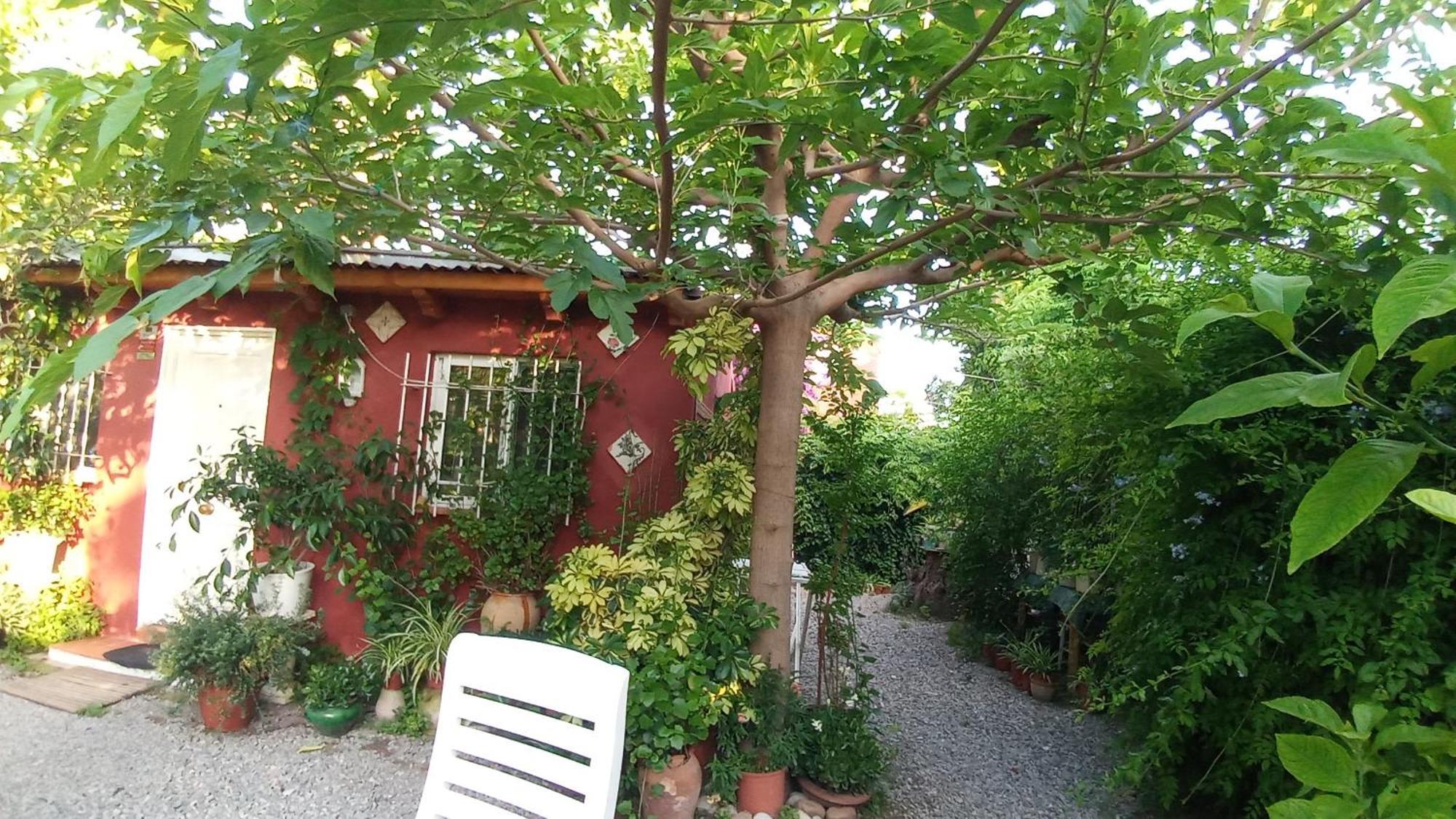 Casa con jardín frente Playa de Burriana Quarto foto