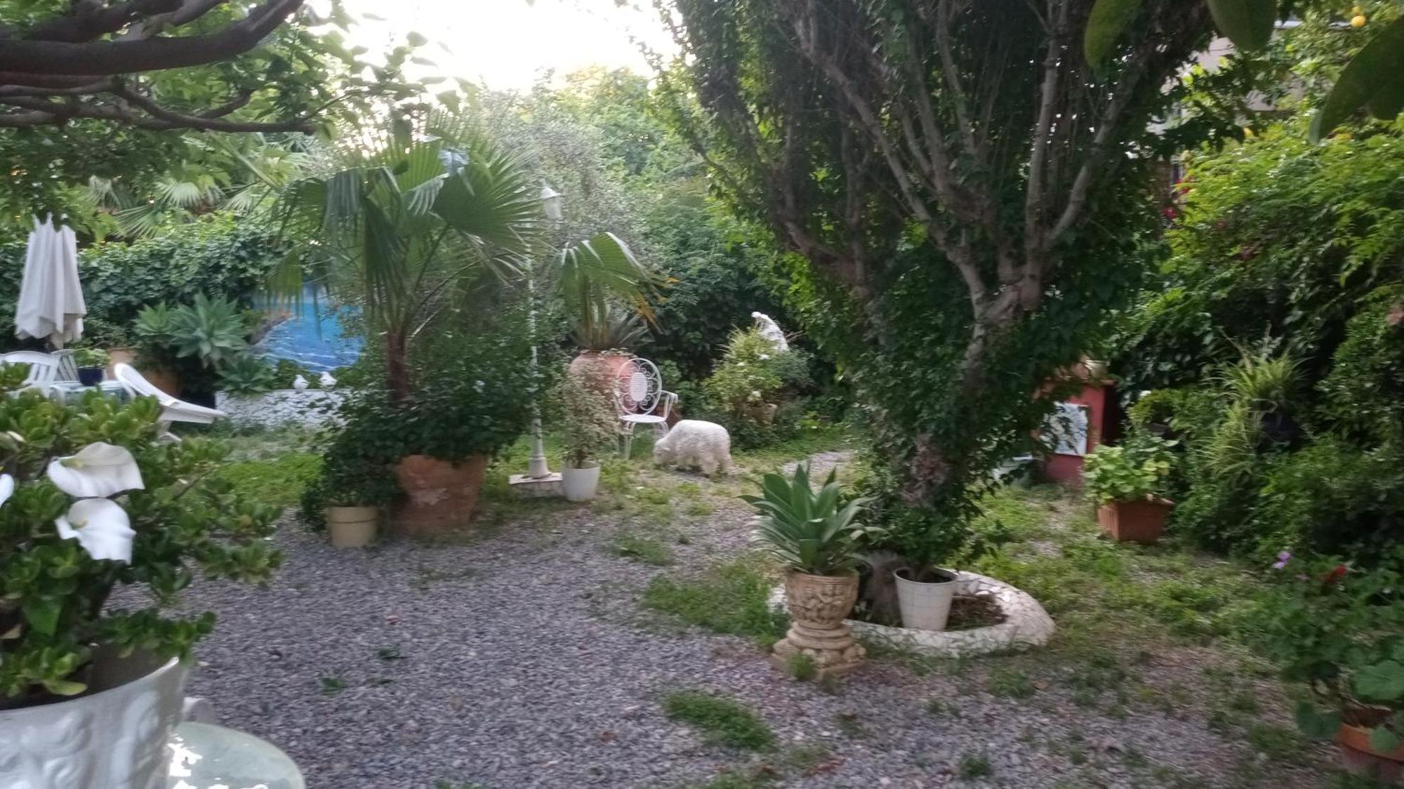 Casa con jardín frente Playa de Burriana Quarto foto