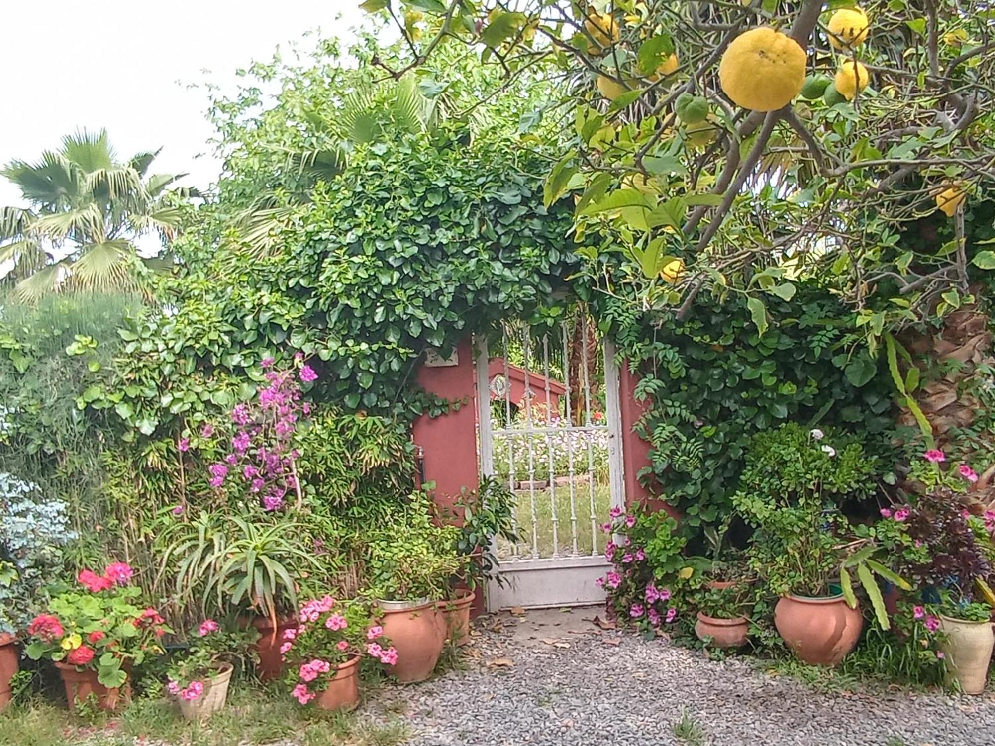 Casa con jardín frente Playa de Burriana Quarto foto