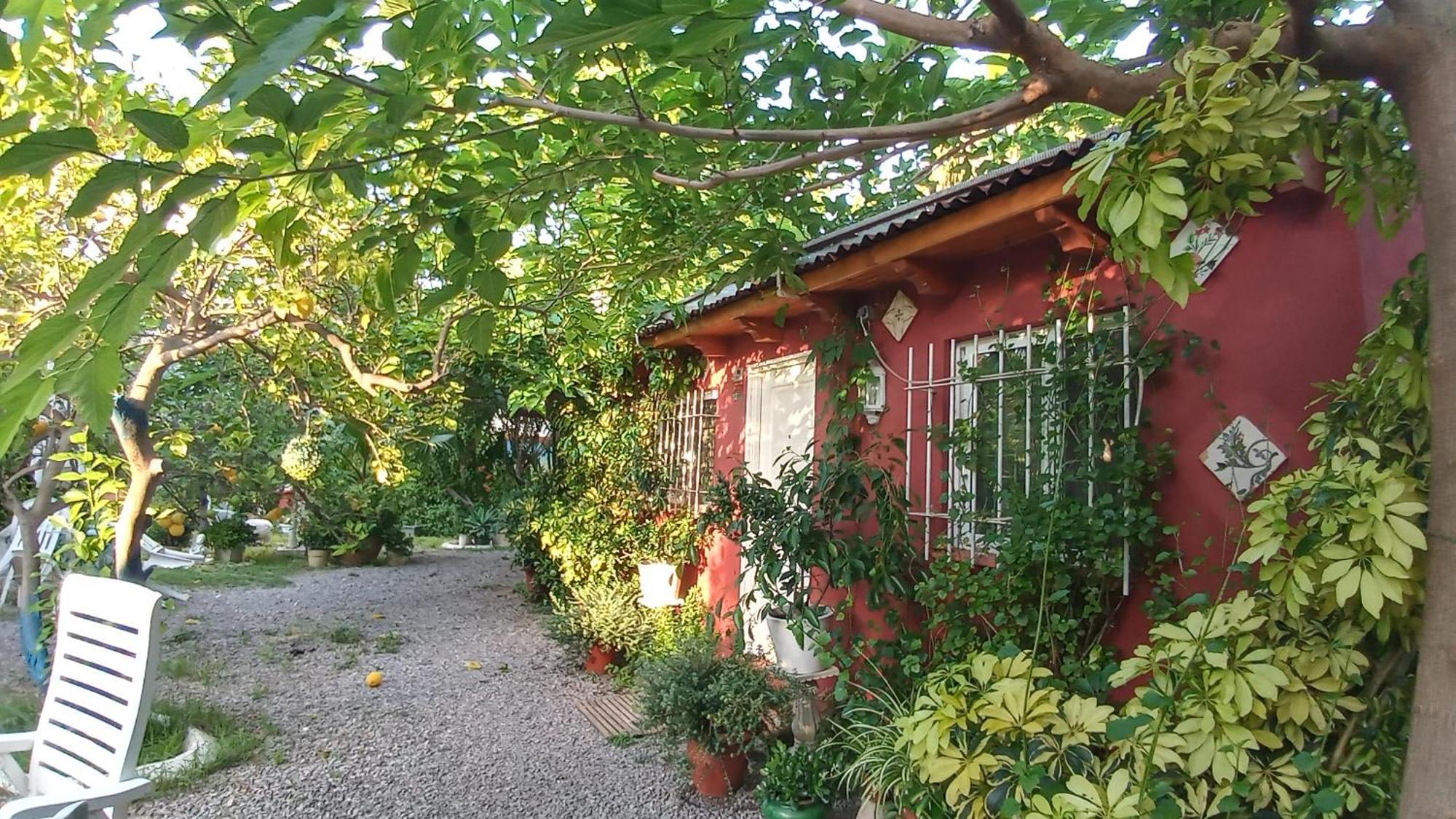 Casa con jardín frente Playa de Burriana Quarto foto