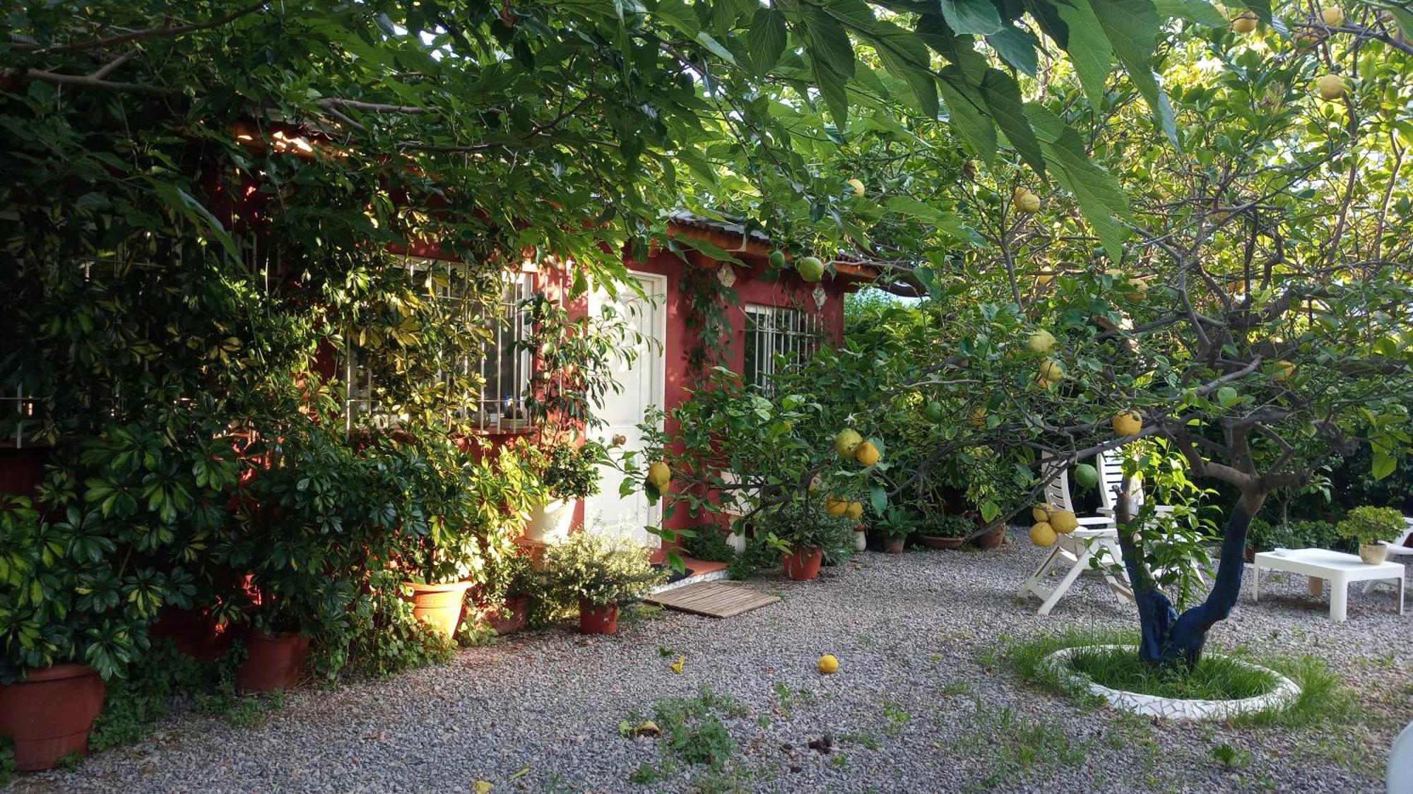 Casa con jardín frente Playa de Burriana Quarto foto